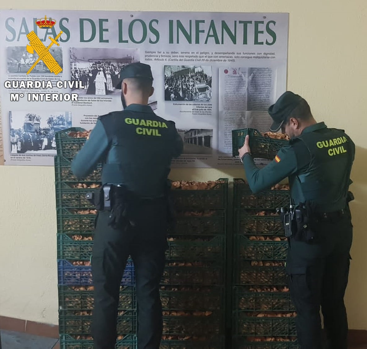 La Guardia Civil interviene 180 kilogramos de níscalos recolectados irregularmente