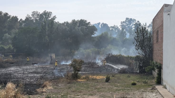 Matilde Esteo sobre el incendio en la ribera del Genil