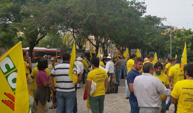 Apicultores manifestantes en Sevilla