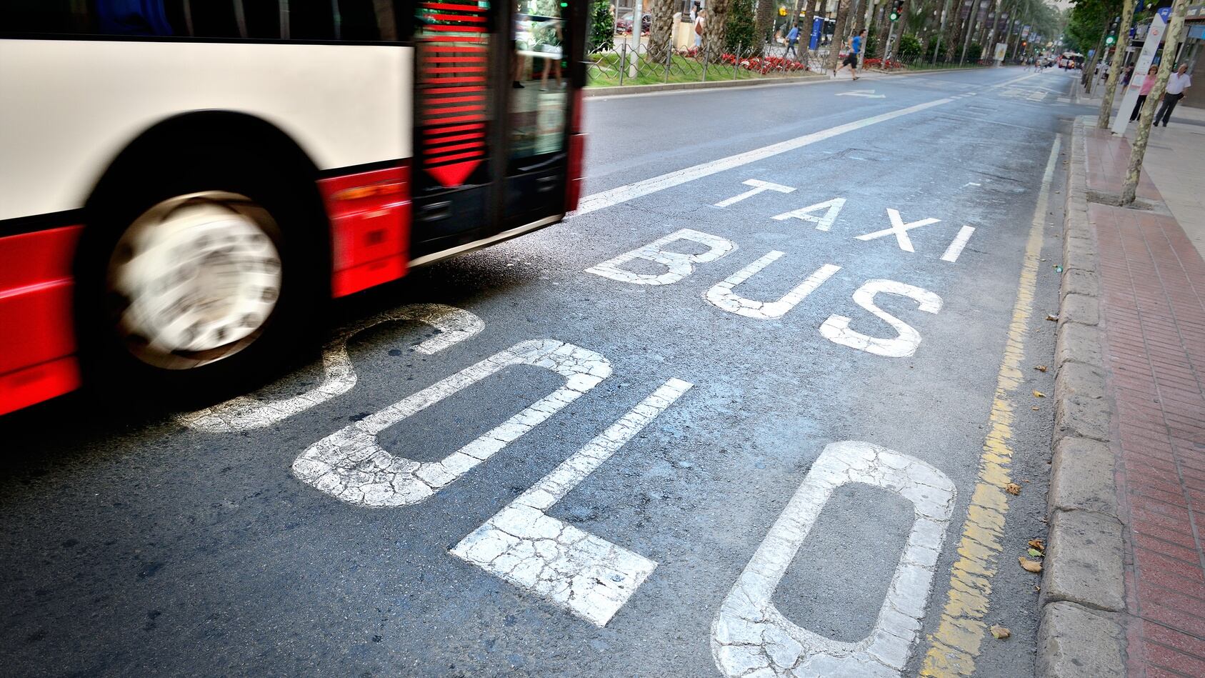 Imagen de archivo de un autobús urbano en Alicante