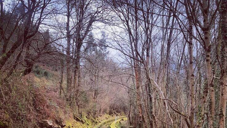 Camín Real de la Mesa: Belmonte de Miranda