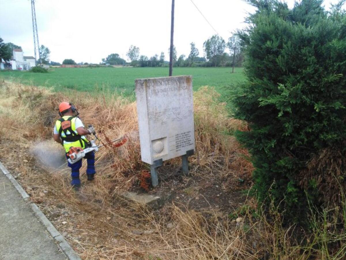 139 localidades de Palencia se beneficiaron en 2022 de más de 878 actuaciones del plan de empleo de limpieza forestal de Diputación