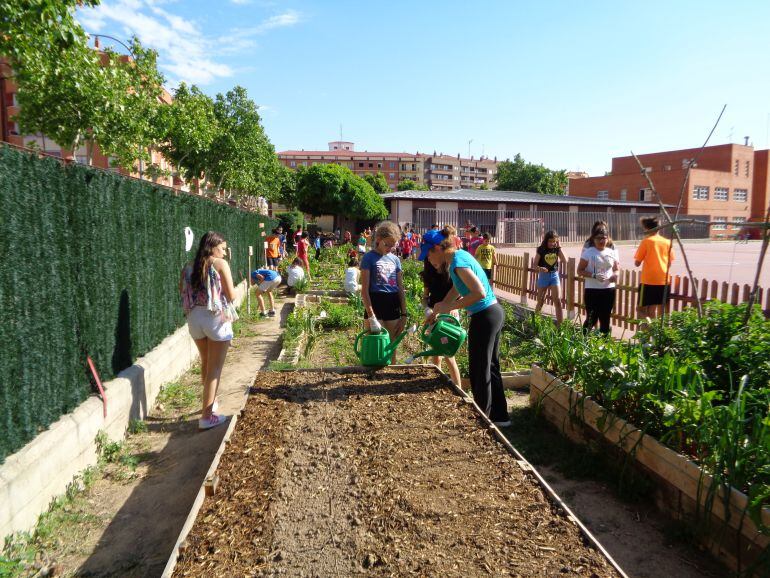 Regar es una de las principales actividades