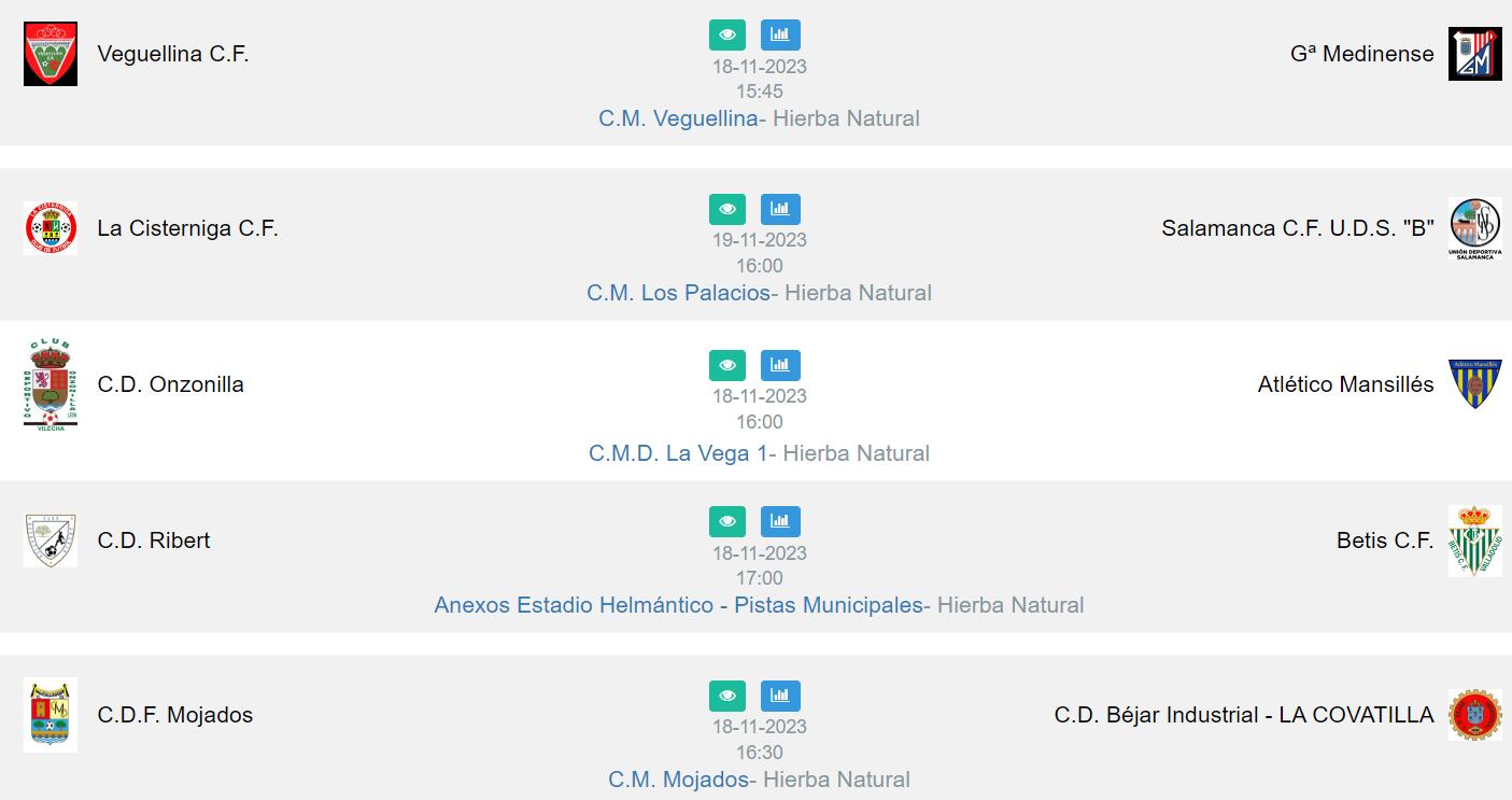 Los partidos con representación vallisoletana de la J10