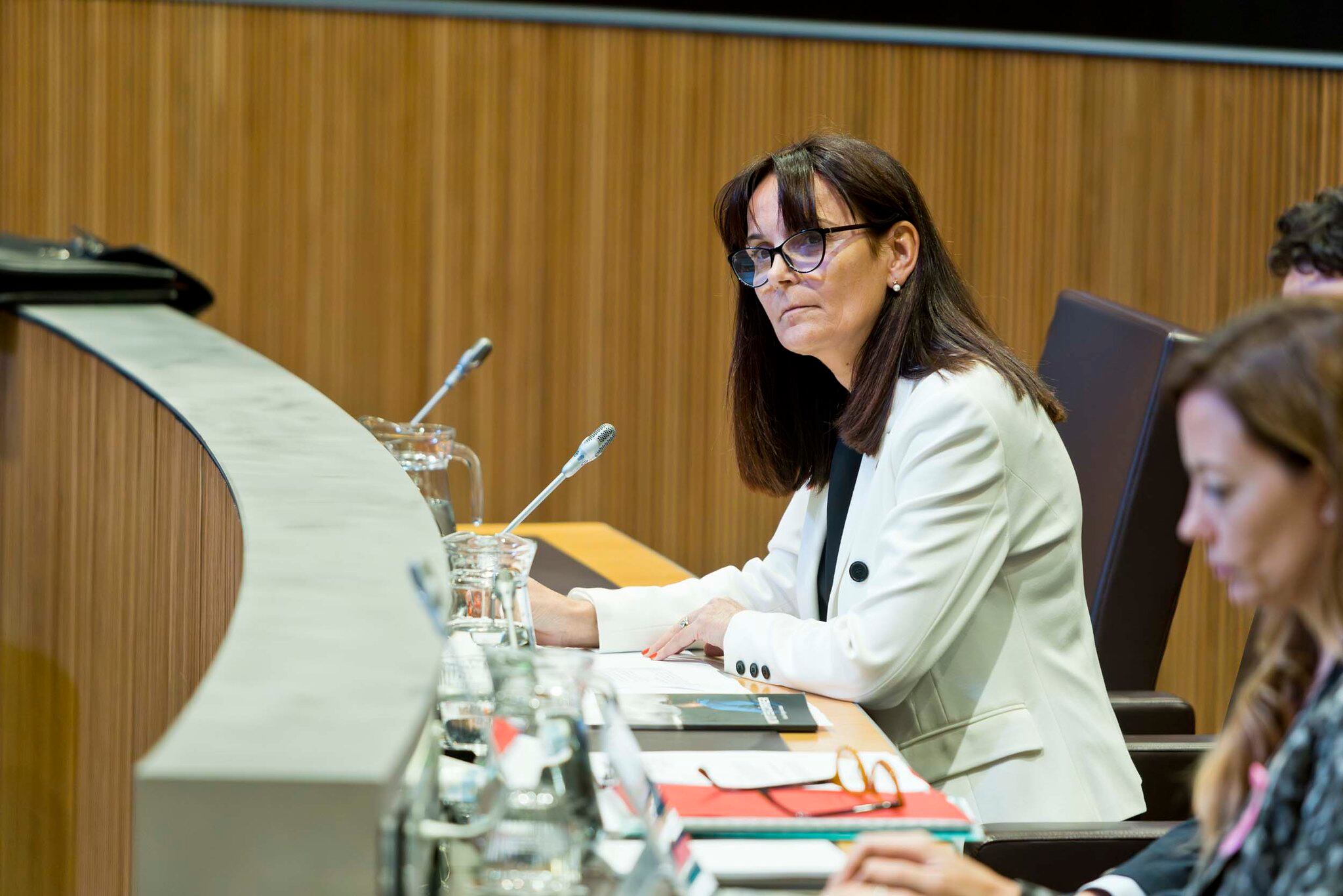 Bonell durant la sessió de Consell General d'aquesta tarda.