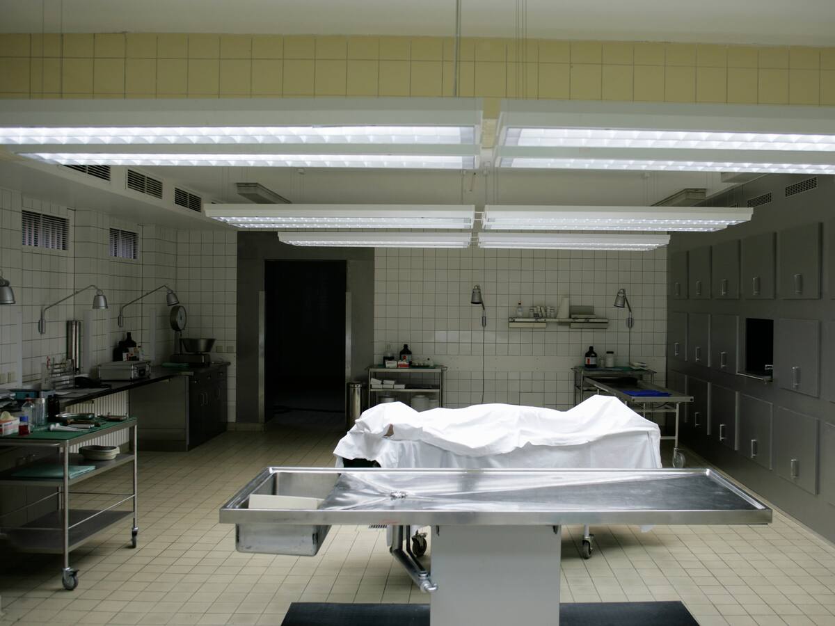 Com és una autòpsia des de dins? Què és veritat i què és ficció?