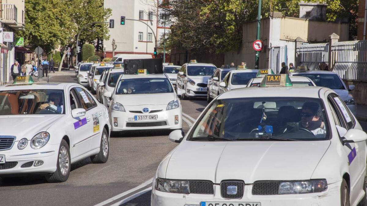 Los servicios de taxis caen un 70%