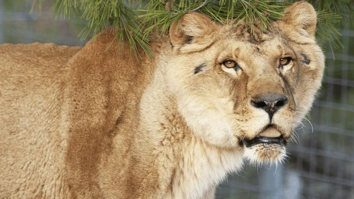 Berta Alzaga de AAP Primadomus