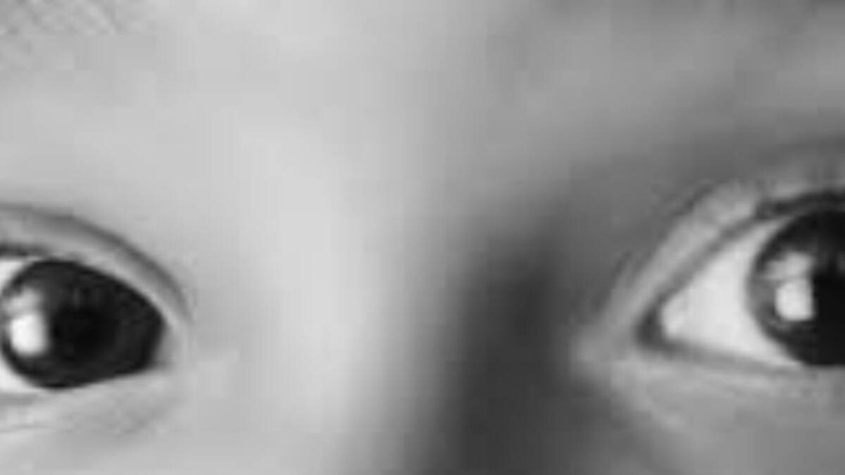 Gabinete de Crisis (13/12/2019)