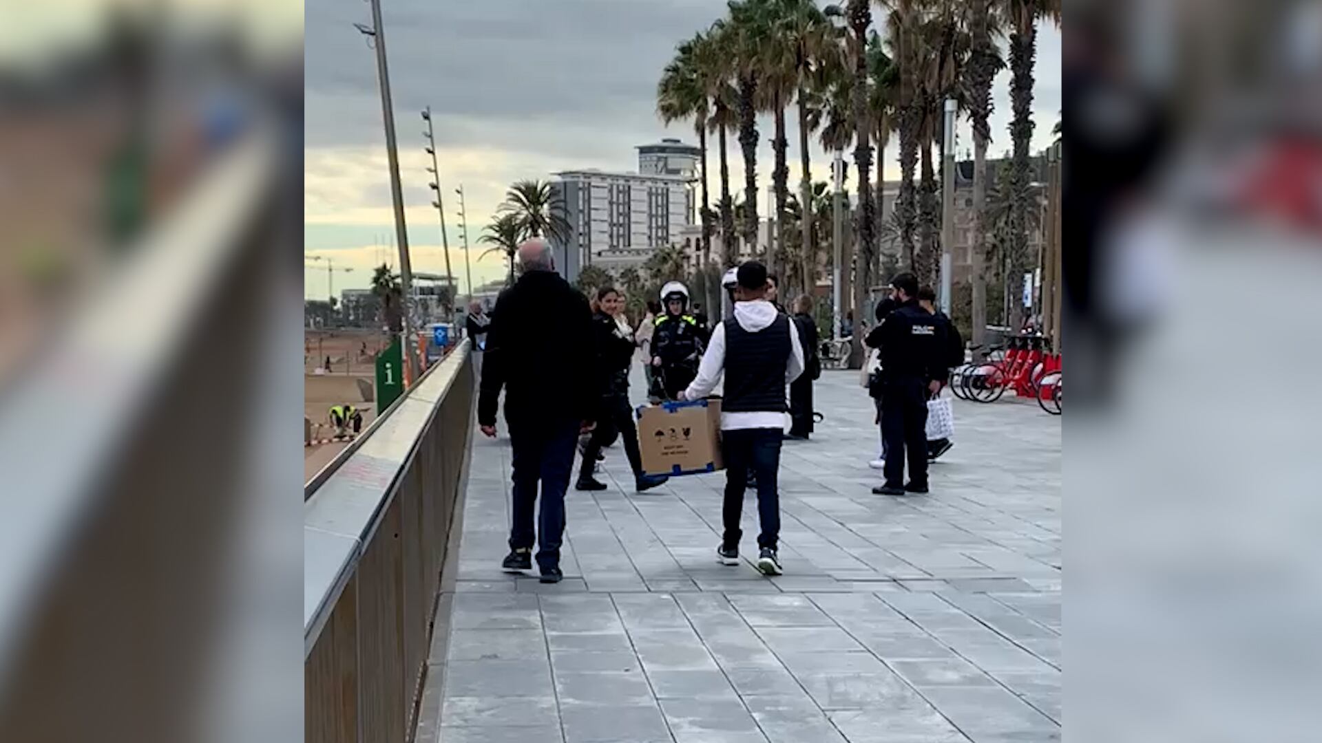 Els policies han portat l'animal al veterinari per comprovar que es troba bé i que el poden deixar anar