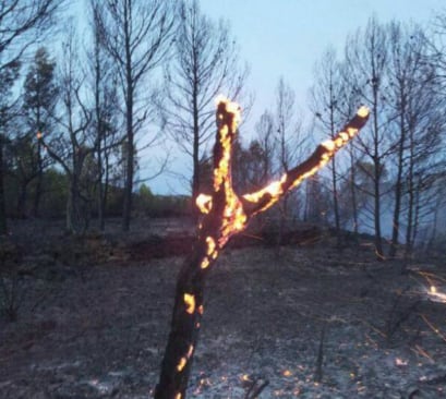 Imatge de l&#039;incendi de Tivissa del passat mes de juny.