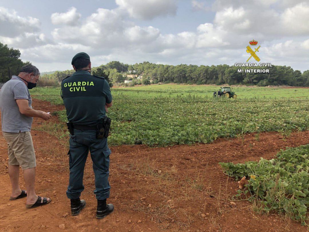 La Guardia Civil refuerza el trabajo contra los robos en fincas agrícolas.