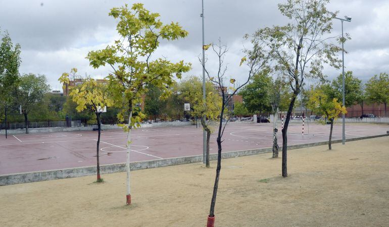 Pistas del colegio Las Cumbres