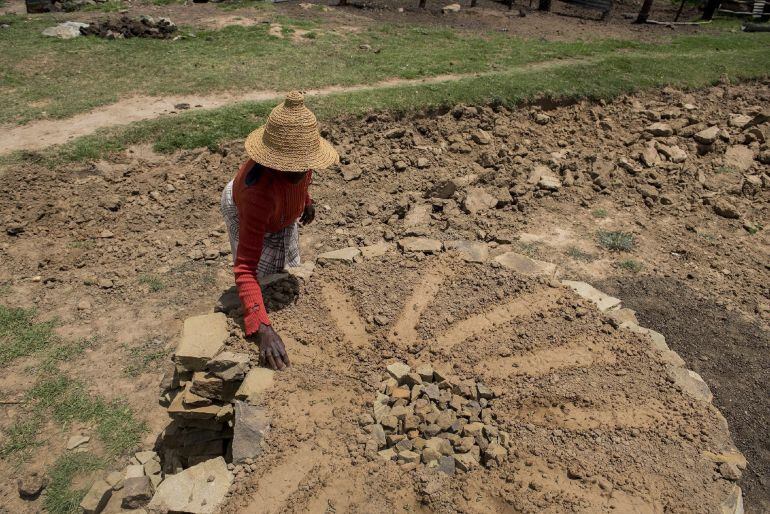 Un campesino africano lucha contra la sequía que afecta a su huerto utilizando un nuevo sistema que ahorra agua.  