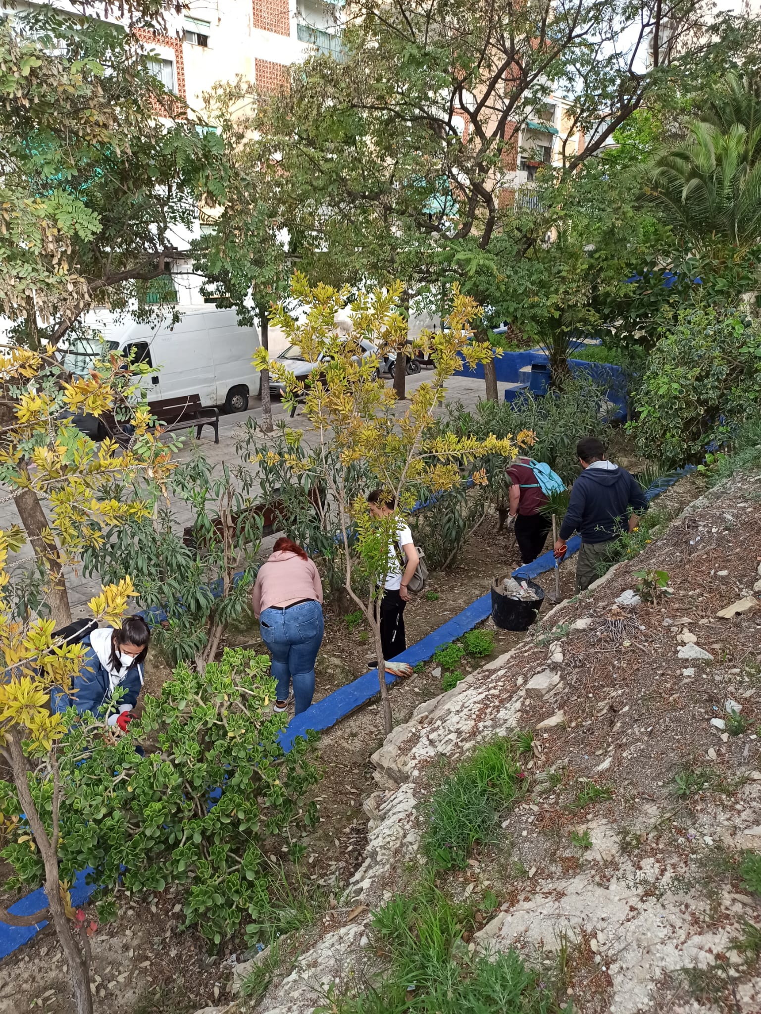 Vecinos de Colonia Requena limpiando una zona verde ante la inacción municipal