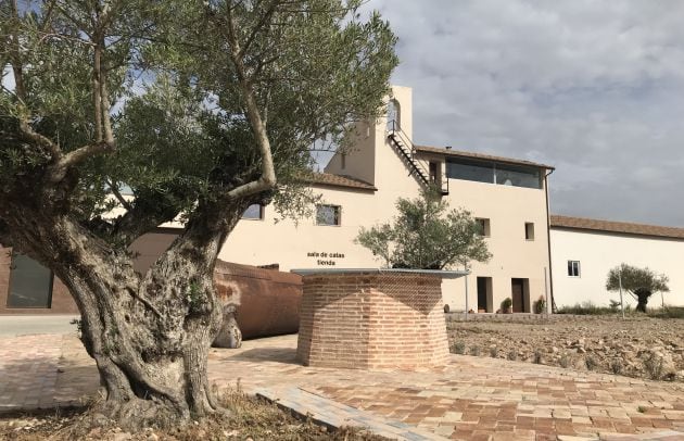 Instalaciones de la empresa Olivares de Altomira en Vellisca.