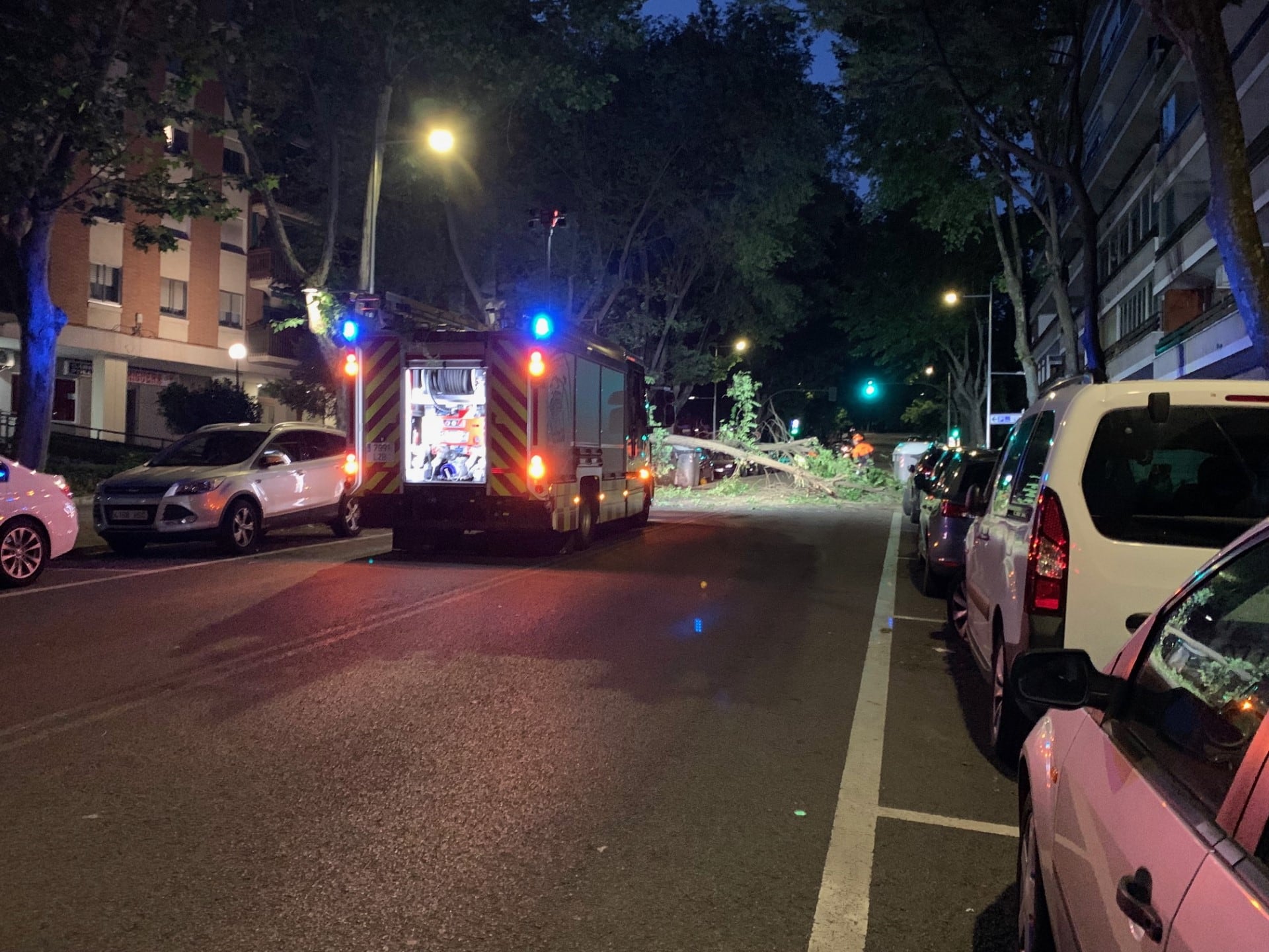 Caída árbol en la calle Constitución/Foto SER GU