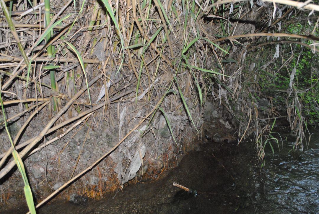 Toallitas en el río Serpis 