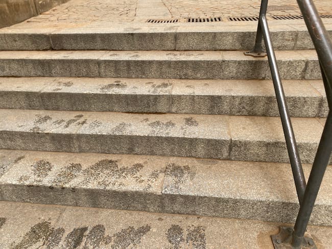 Escaleras cubiertas de polvo