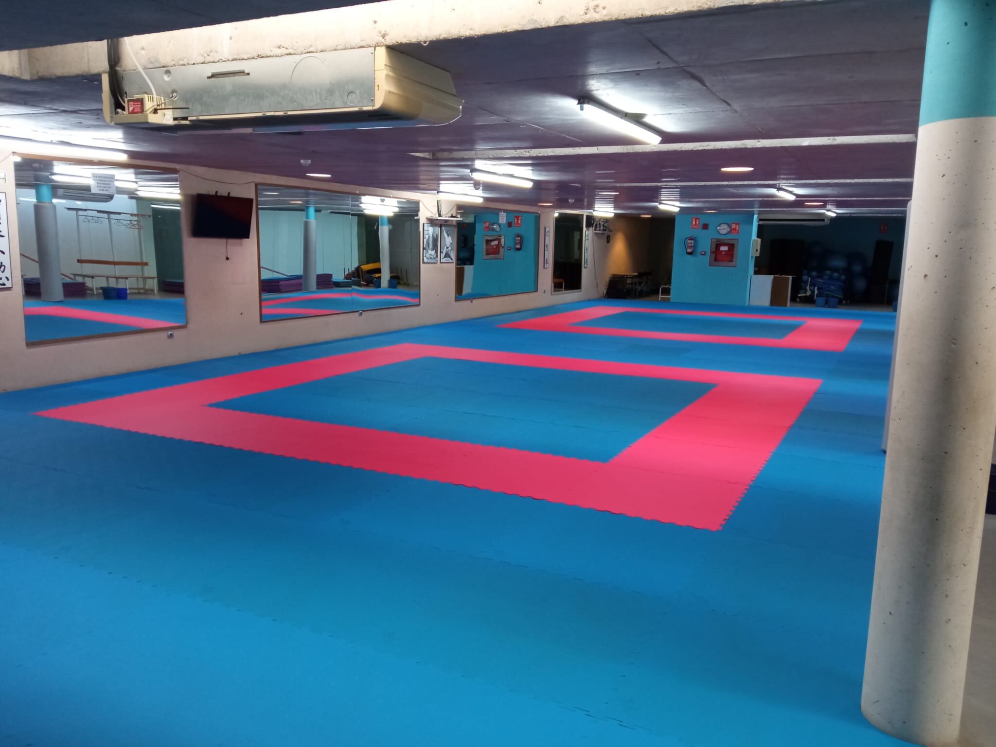 El Palacio de Deportes ya luce un nuevo tatami