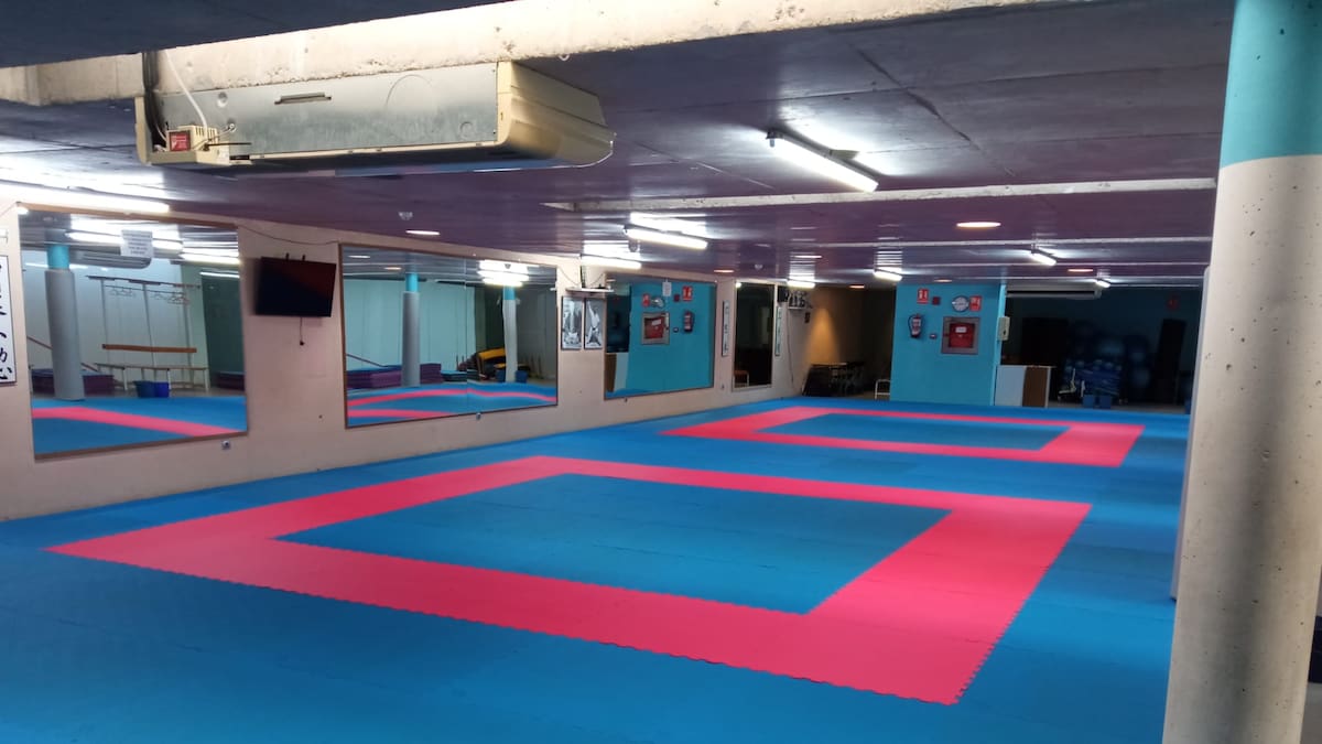El Palacio de Deportes ya luce un nuevo tatami