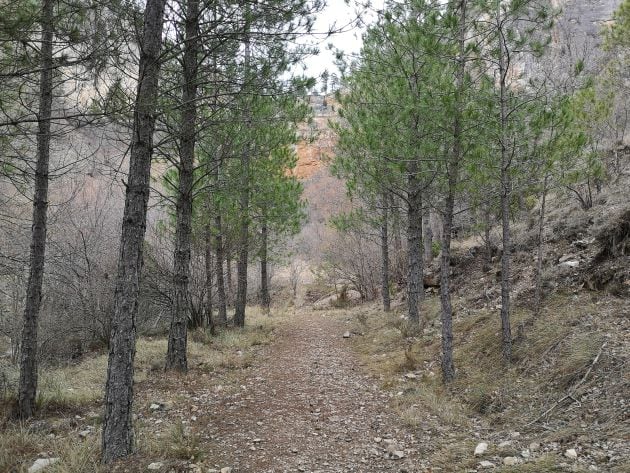 Ruta hasta el nacimiento del arroyo del Rincón.