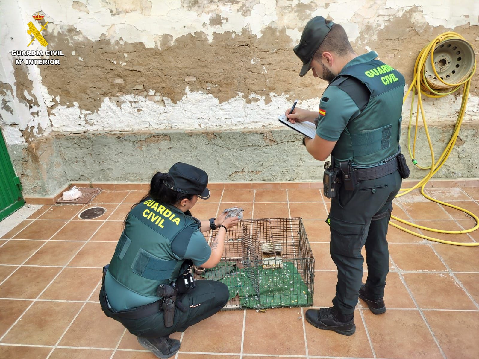 Operación de la Guardia Civil en La Granja de la Costera