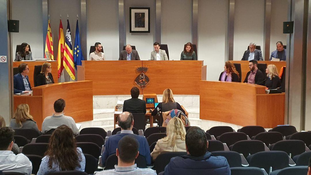 Imagen del pleno del Consell de Ibiza