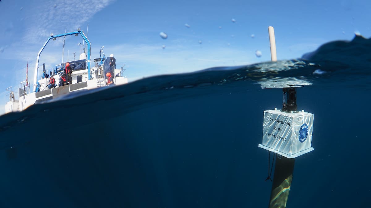 El viaje de 4000 millas náuticas de 'Argo' por el Mediterráneo: un hito en la oceanografía en España