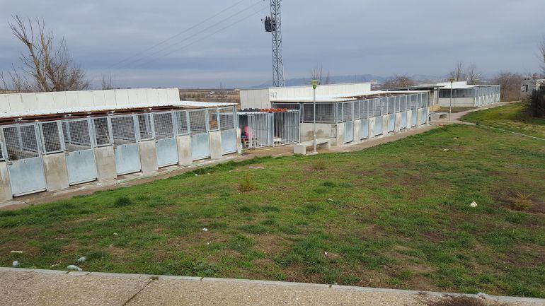 Instalaciones de la Protectora de Palencia