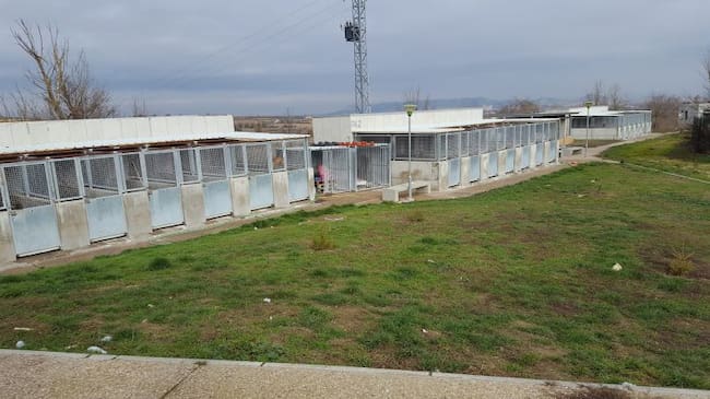 Instalaciones de la Protectora de Palencia