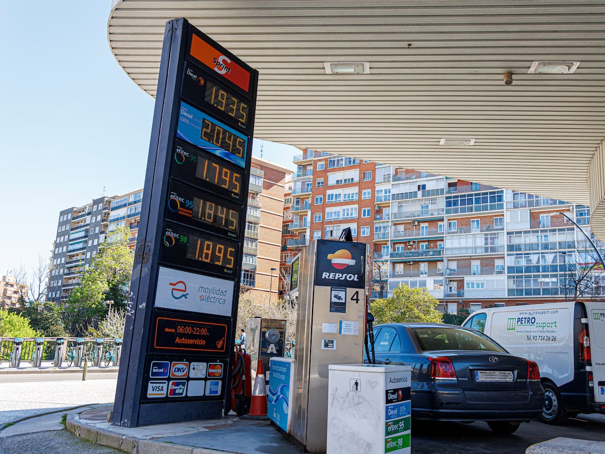 Competencia controlará semanalmente los márgenes empresariales de las petroleras