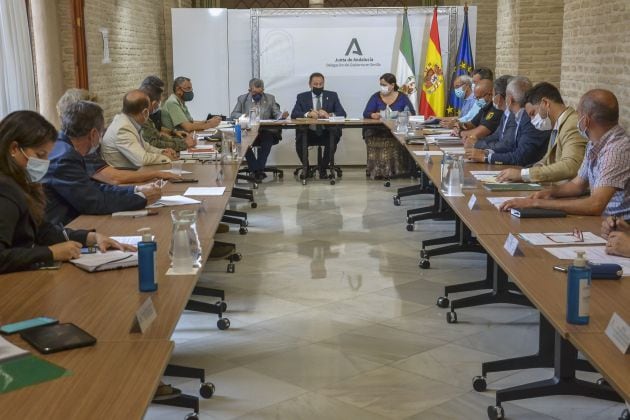 El delegado del gobierno de la Junta en Sevilla, Ricardo Sánchez, presidiendo el Comité Asesor Provincia del Plan Infoca