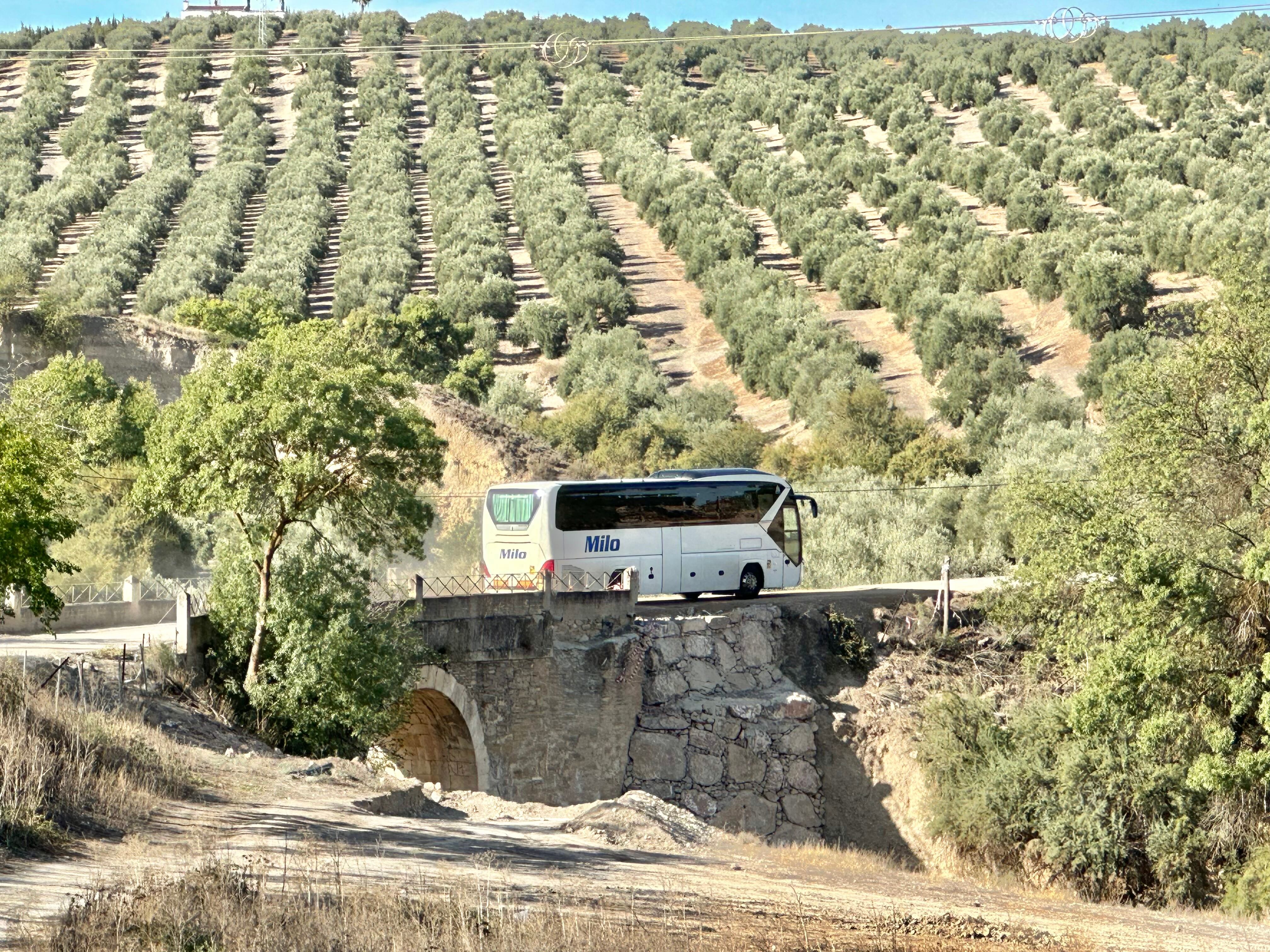 Abierto al tráfico el puente de acceso a La Laguna