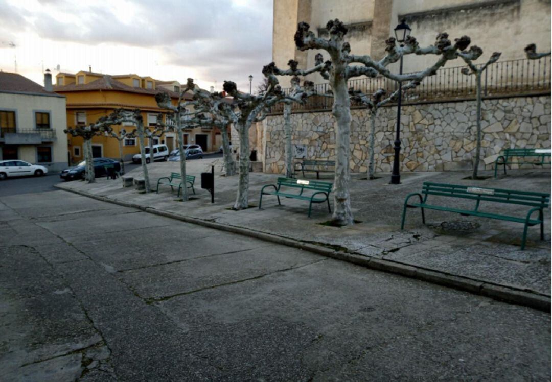 El pavimento está muy levantado por las raíces de los árboles y falta de actuaciones