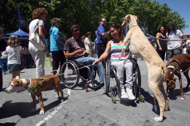 Celebración del Día de la Mascota en 2012