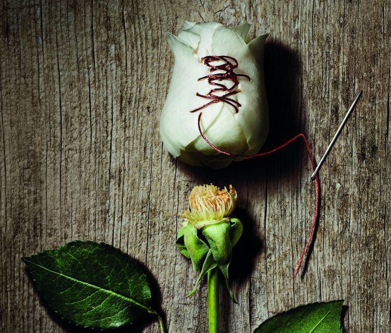 La primera novela de Jordi Llobregat sale a la venta a la vez que sus derechos se han vendido a 18 países