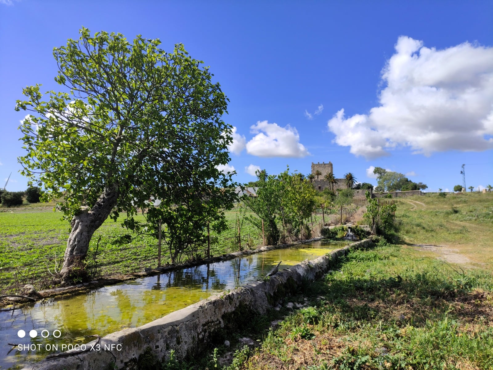 Recorrido por el Castillo de Gigonza y sus alrededores