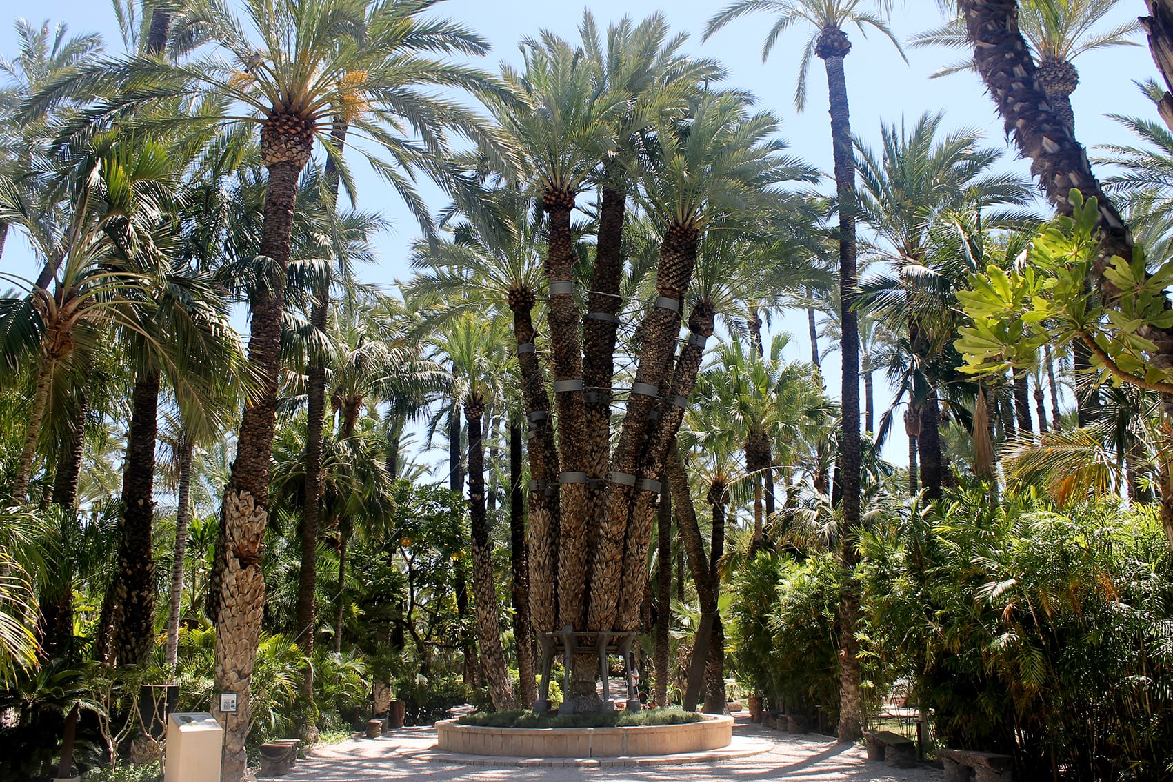 Jardín  Huerto del Cura