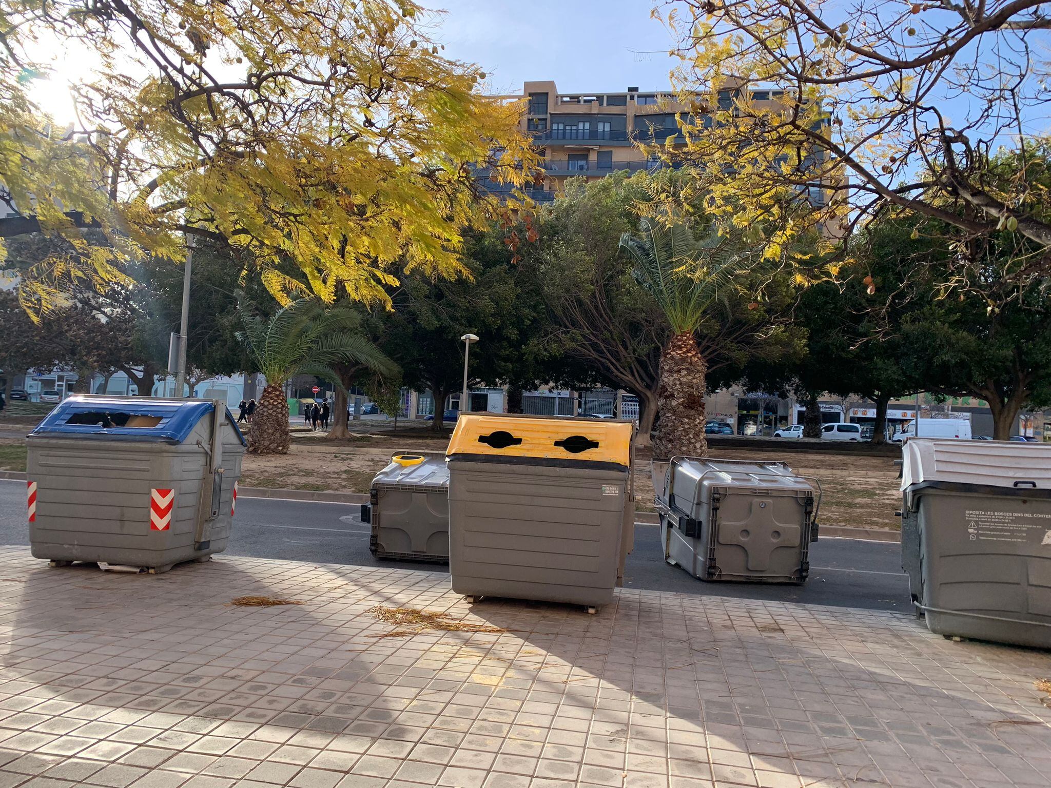 Contenedores desplazados por el viento en la avenida Historiador Vicente Ramos de Alicante