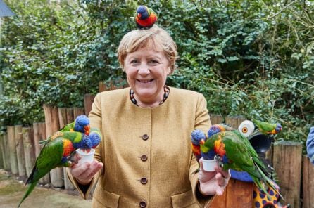 Angela Merkel posando con los siete loros