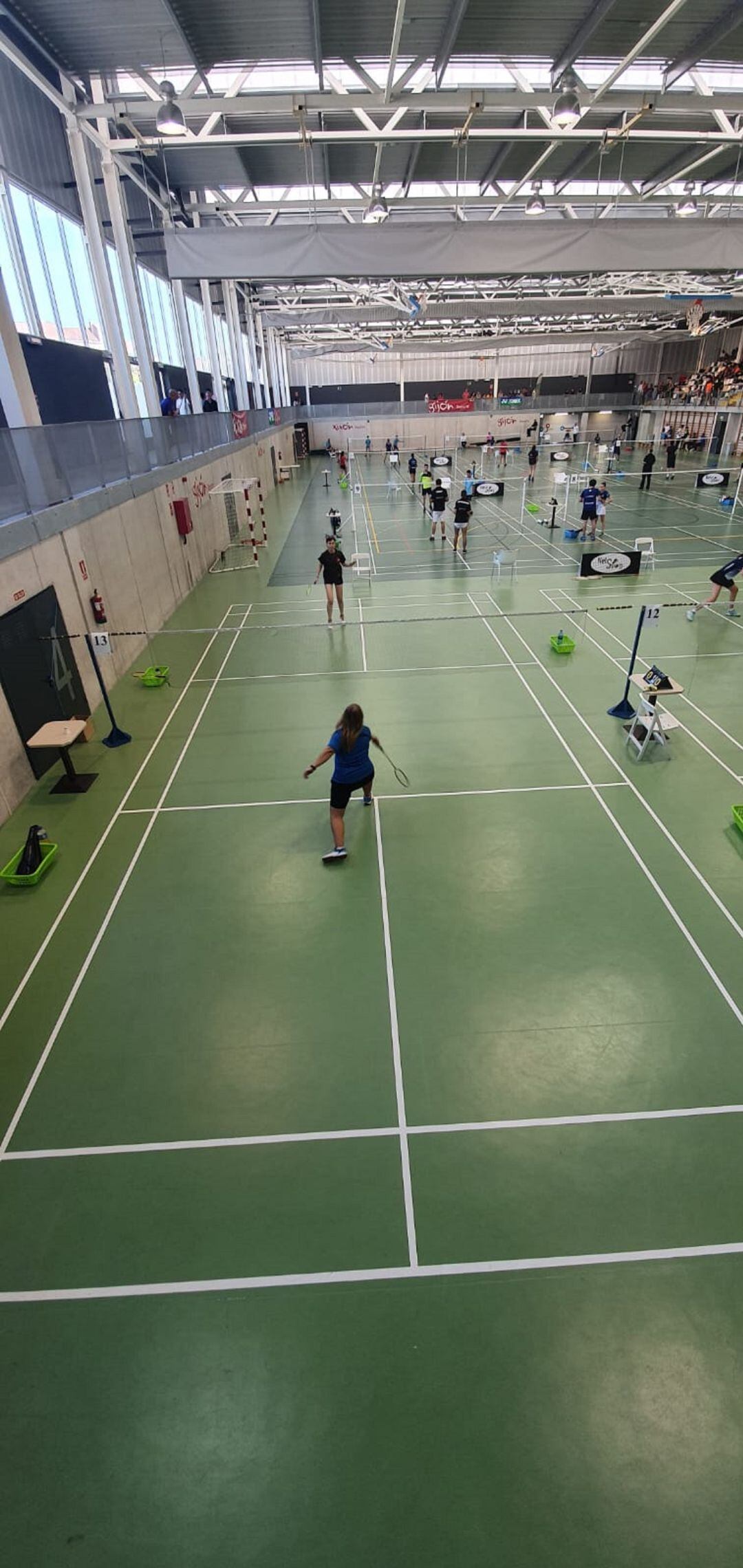 El bádminton soriano logró un buen botín de medallas en Gijón.