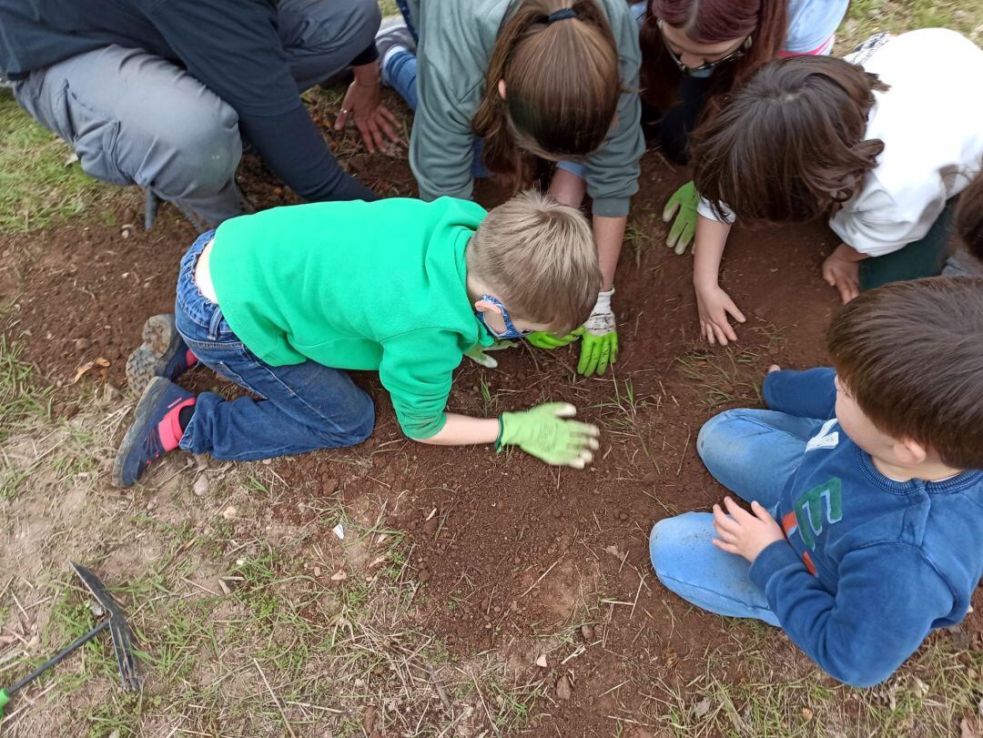 Actividad de la Escuela Rural de Vall de Almonacid