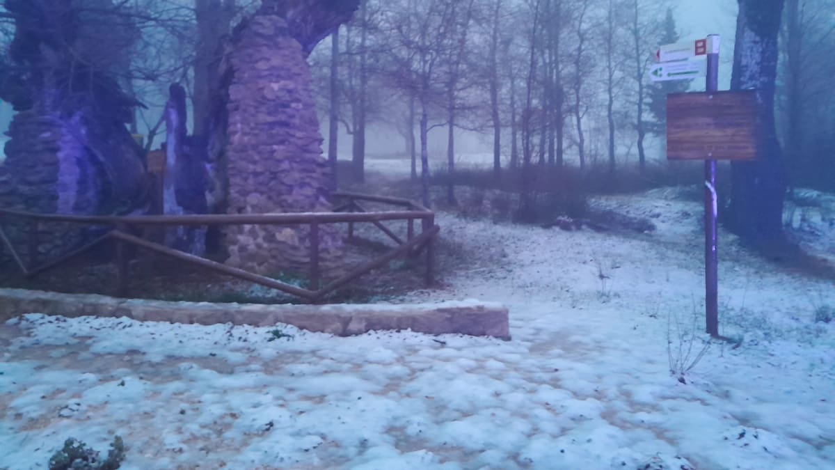 Entrevista a José Ángel Núnez, posibles nevadas en la Vall d'Albaida