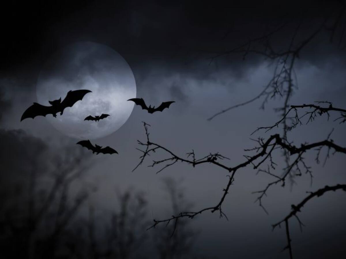 Aquí comemos buñuelos