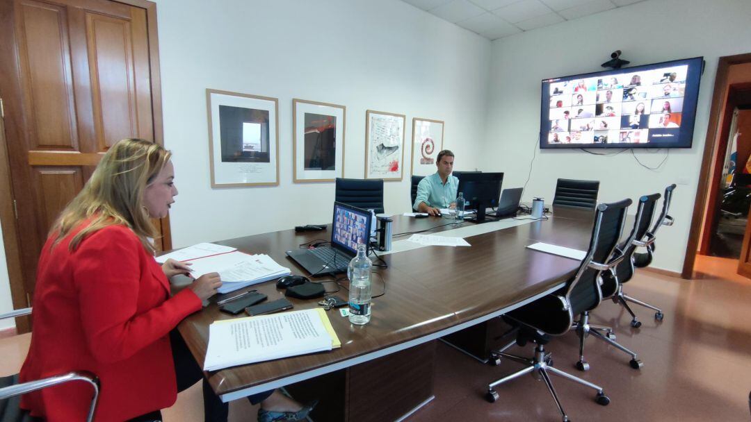 Un momento del pleno telemático del pasado sábado.