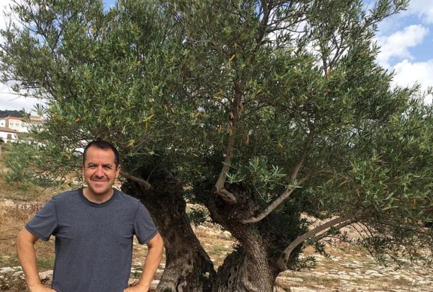 Jesús Pastor junto a uno de los olivos que cultiva en Vellisca.