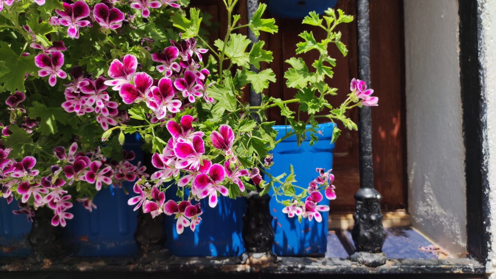 Rejas y balcones Córdoba 2022