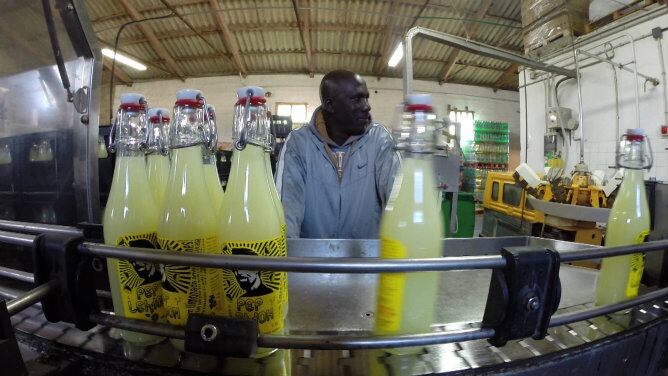 Pep Lemon, la primera limonada hecha 100% en Mallorca