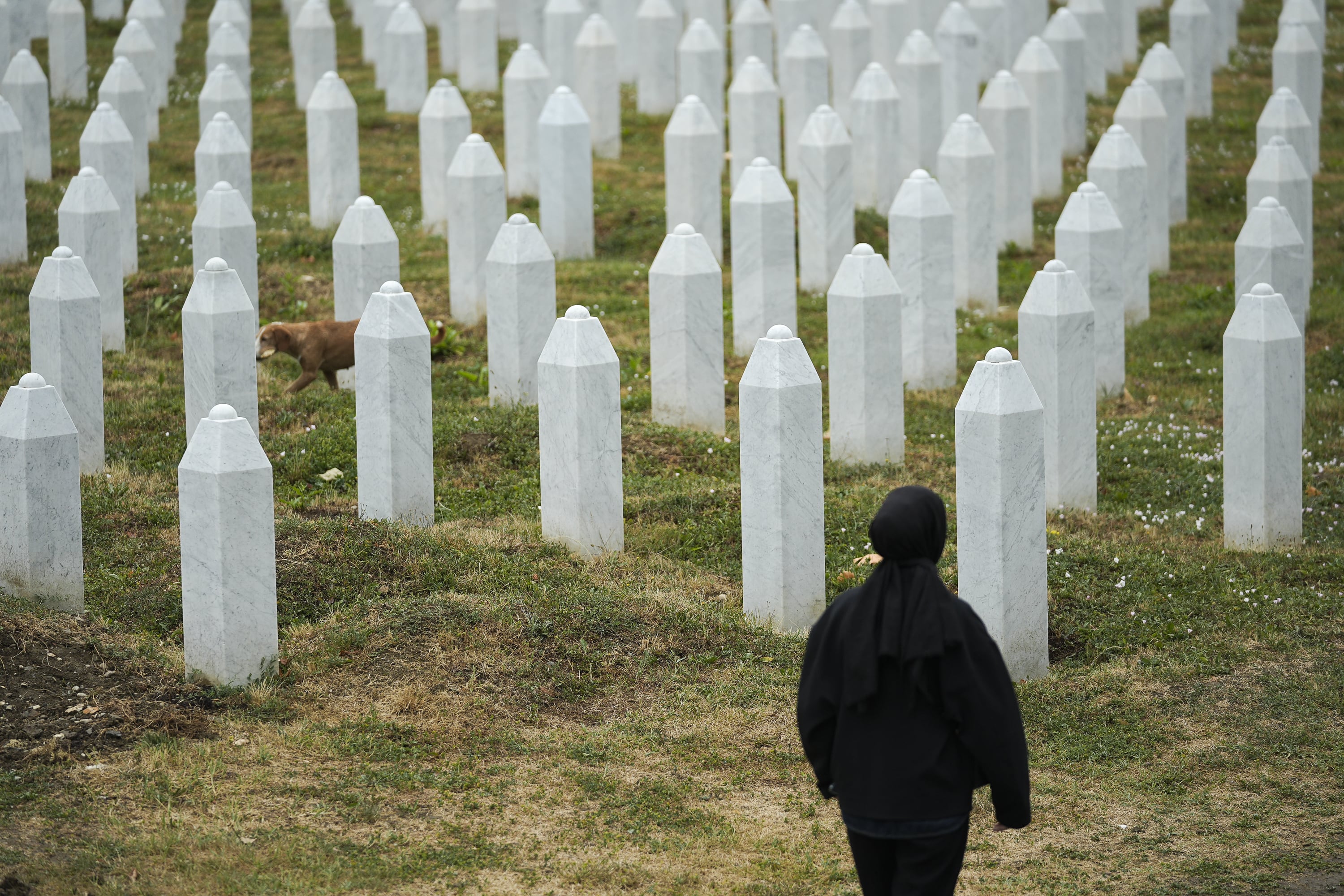 La Fiscalía de Milán investiga si se realizaron "safaris humanos" para  disparar contra los habitantes de Sarajevo en la guerra de los Balcanes |  Internacional | Cadena SER